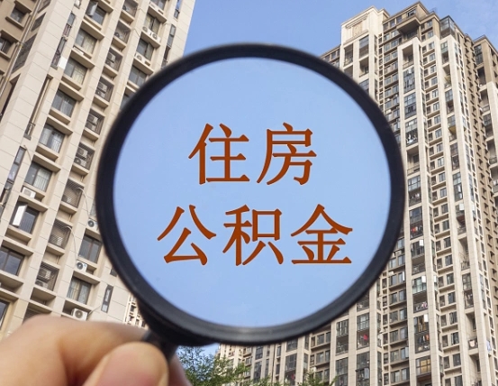 南阳退休后查不到公积金明细了吗（退休后公积金查询不到原因）